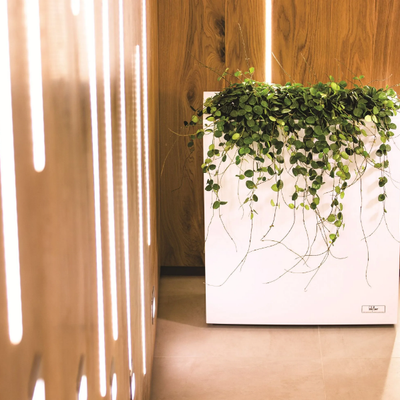 STEEL-PLUS-Plant-pot-with-automatic-watering-Hobby-Flower-de-Espana-291142-rela77567db.jpg